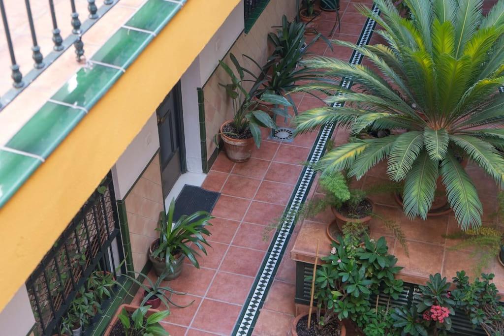 Apartamento Junto A Las Setas De Sevilla 외부 사진